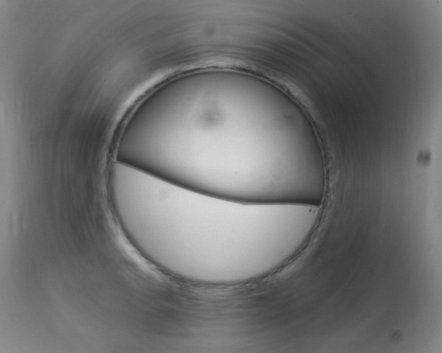 X0000114131134200910080956