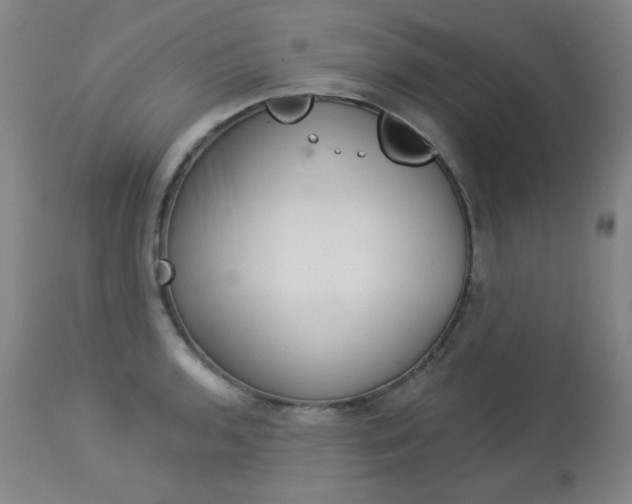 X0000114131136200910080956