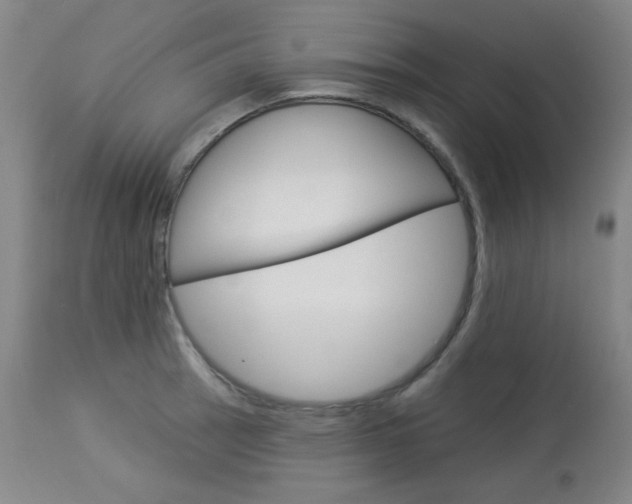 X0000114131137200910080956