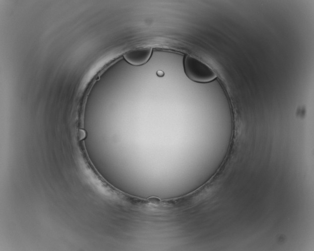 X0000114131138200910080956