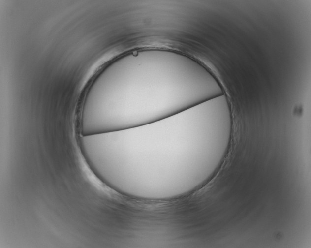 X0000114131139200910080956