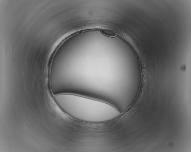 X0000114131140200910080956