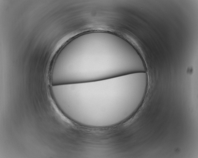 X0000114131141200910080956
