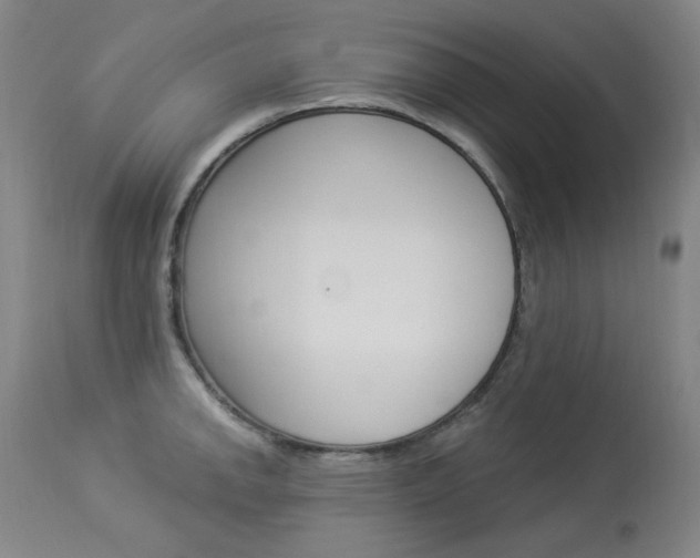 X0000114131142200910080956