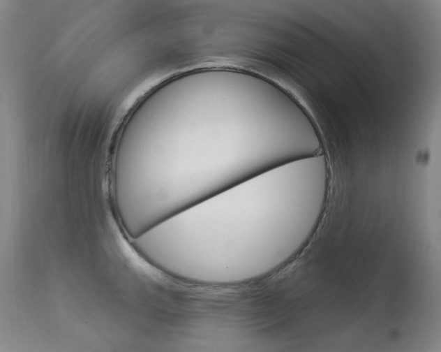 X0000114131143200910080956