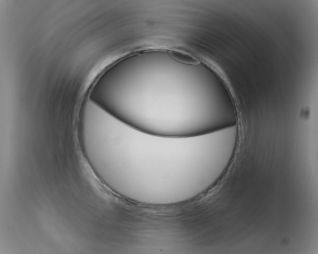 X0000114131146200910080956