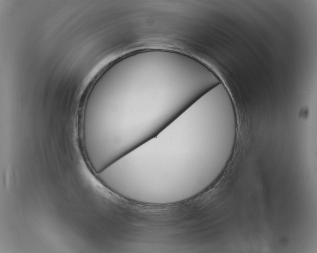 X0000114131147200910080956