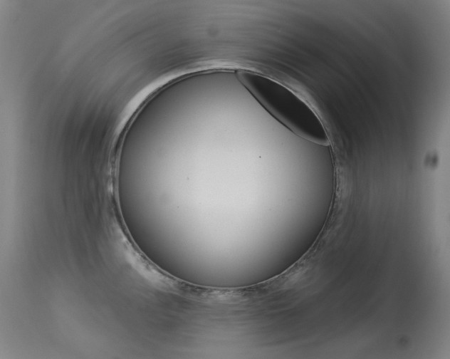 X0000114131148200910080956