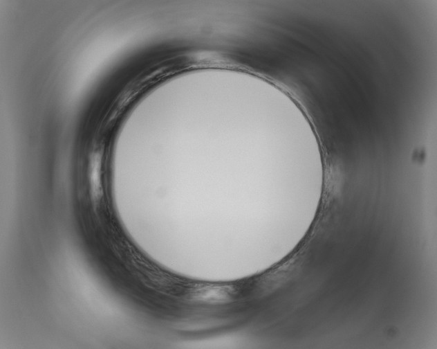 X0000114131150200910080956