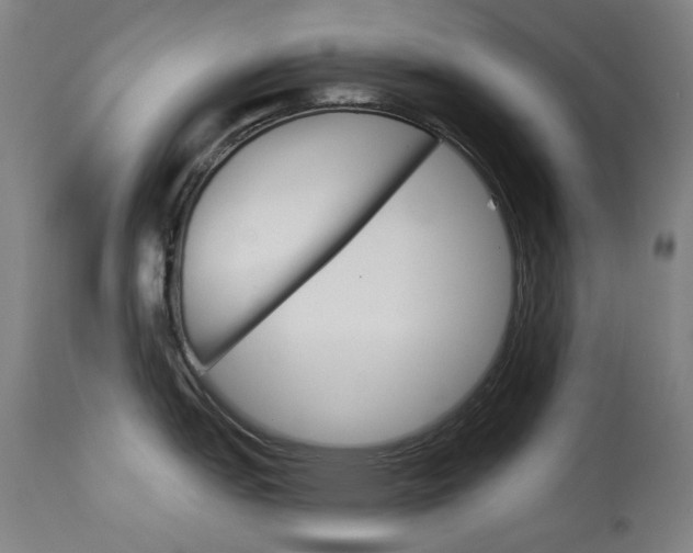 X0000114131151200910080956