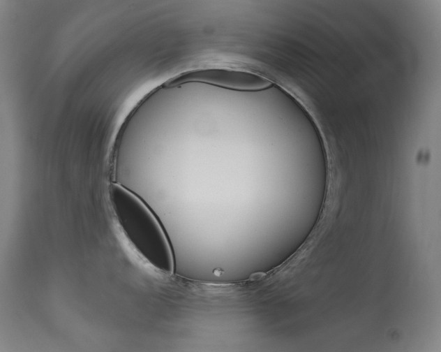 X0000114131152200910080956