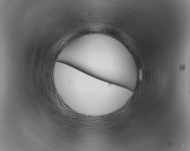 X0000114131155200910080955