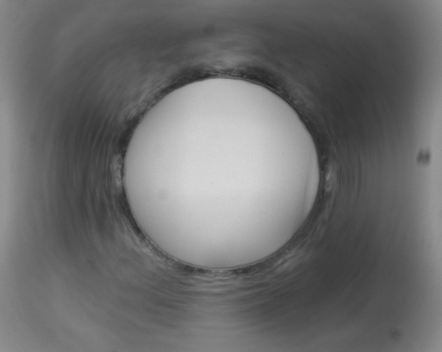 X0000114131156200910080955