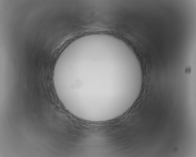 X0000114131157200910080955