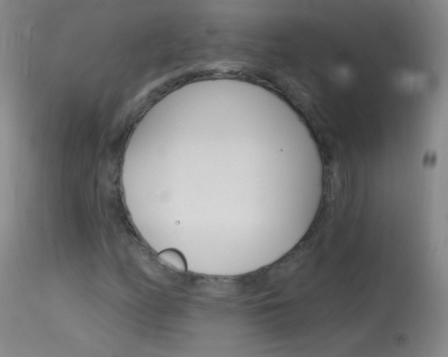 X0000114131158200910080955