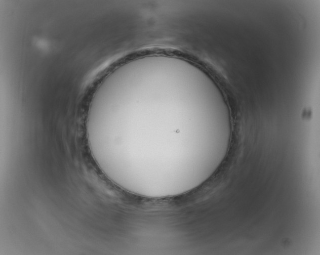 X0000114131159200910080955