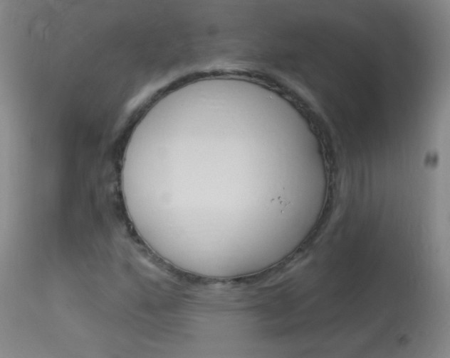X0000114131160200910080955