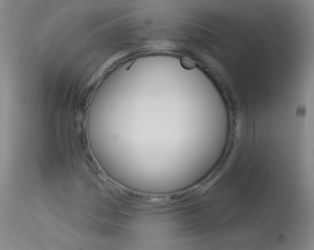 X0000114131161200910080955