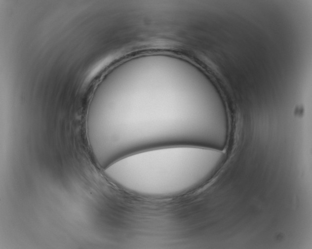 X0000114131163200910080955