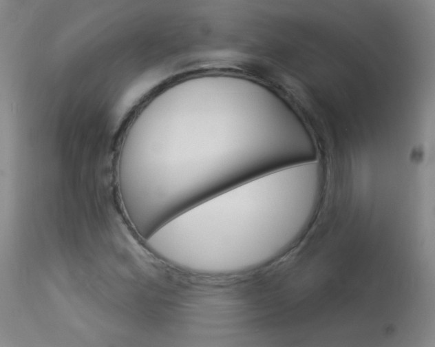 X0000114131164200910080955