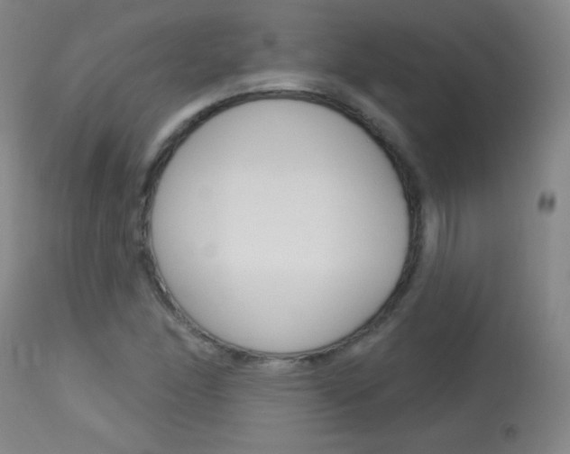 X0000114131166200910080955
