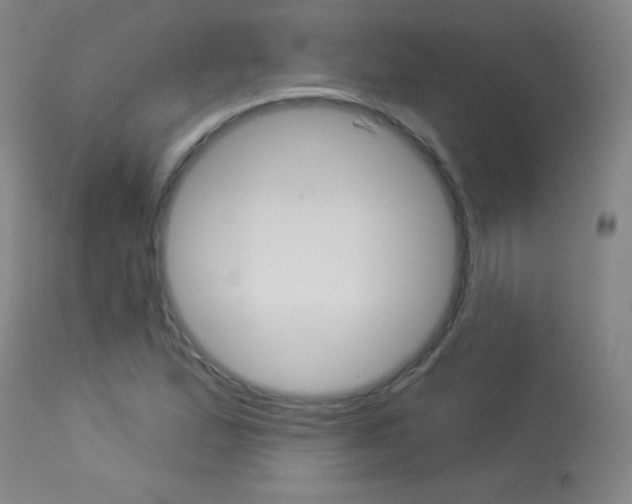 X0000114131167200910080955