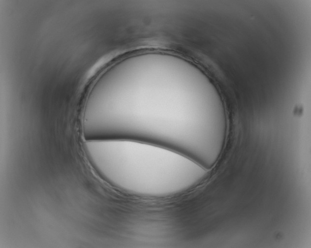 X0000114131168200910080955