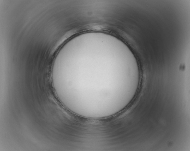 X0000114131170200910080955