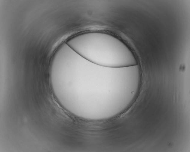 X0000114131171200910080955