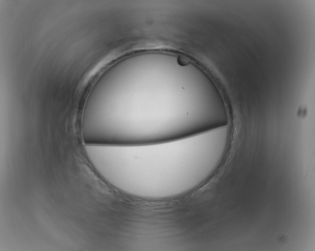 X0000114131173200910080955