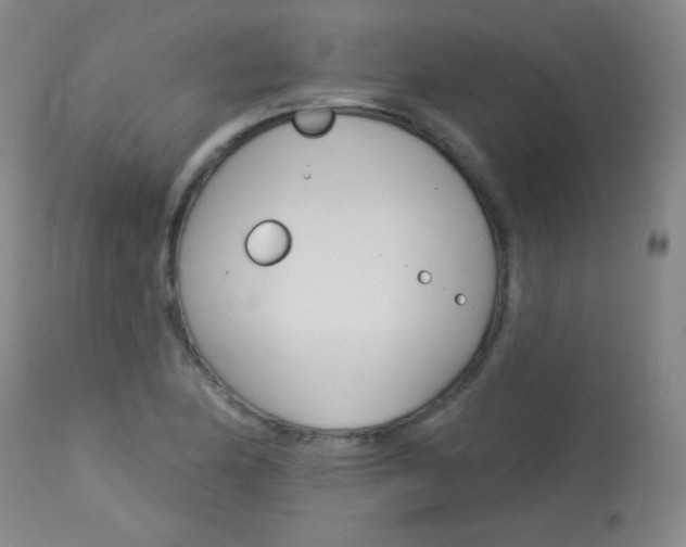 X0000114131174200910080955