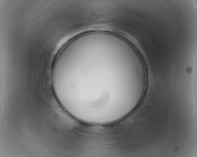X0000114131176200910080955