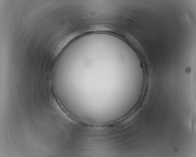 X0000114131177200910080955