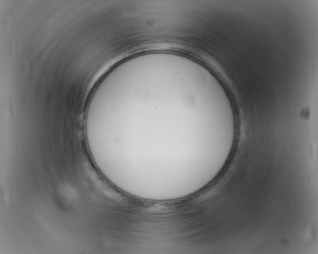 X0000114131178200910080955