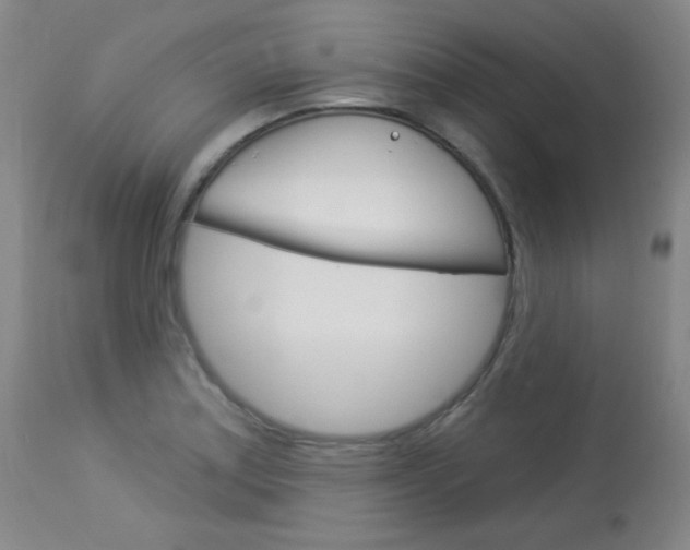 X0000114131179200910080955