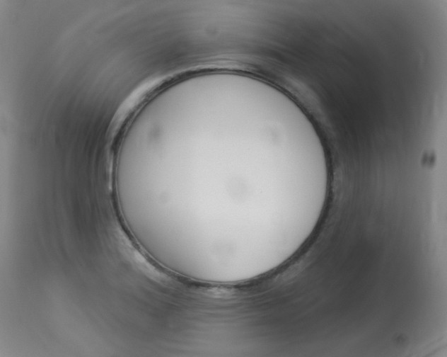 X0000114131180200910080955
