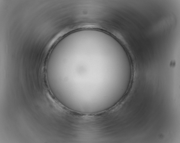 X0000114131181200910080955