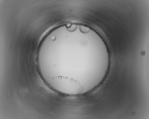 X0000114131182200910080955