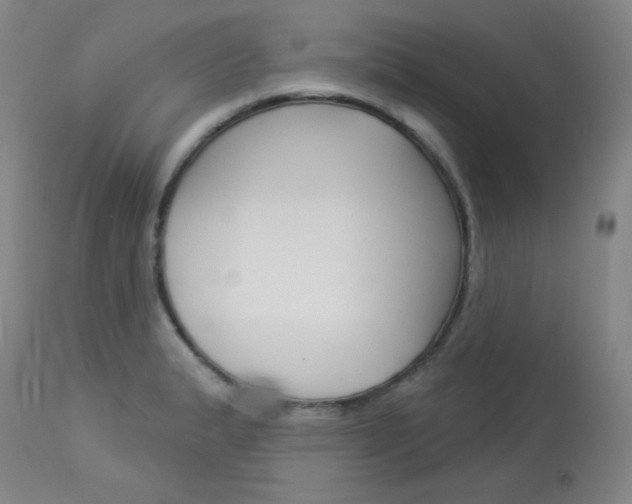 X0000114131183200910080955