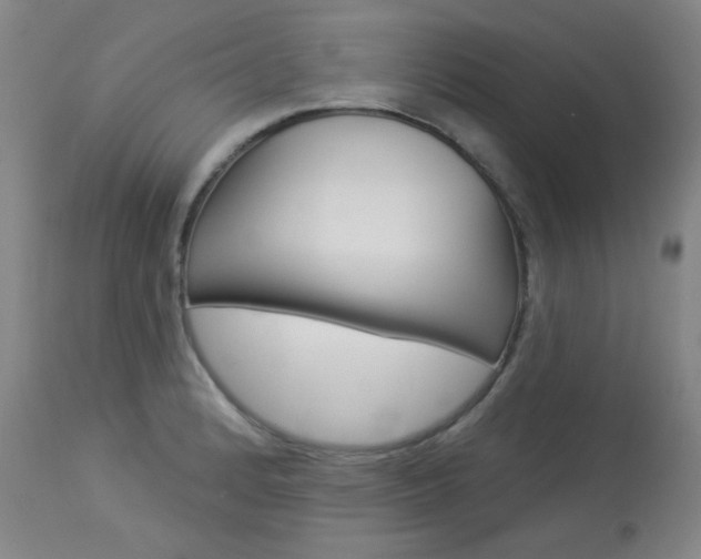 X0000114131184200910080955