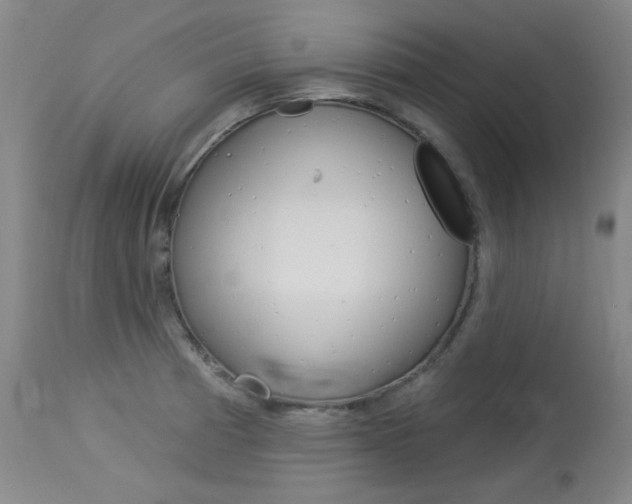 X0000114131185200910080955