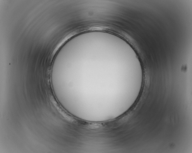 X0000114131186200910080955