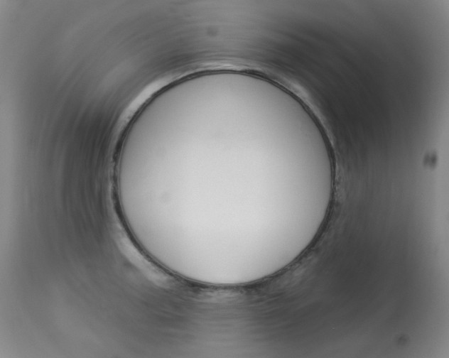 X0000114131187200910080955