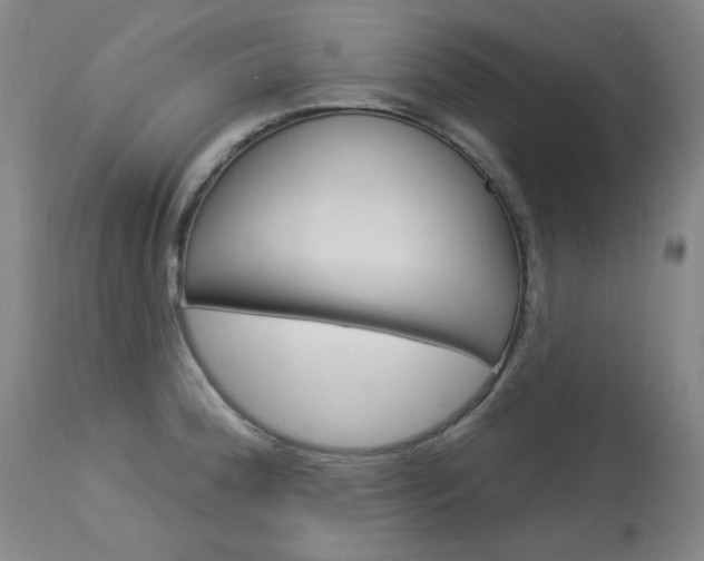 X0000114131188200910080955