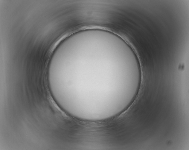 X0000114131189200910080955