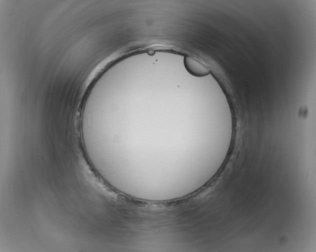 X0000114131190200910080955