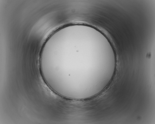 X0000114131191200910080955