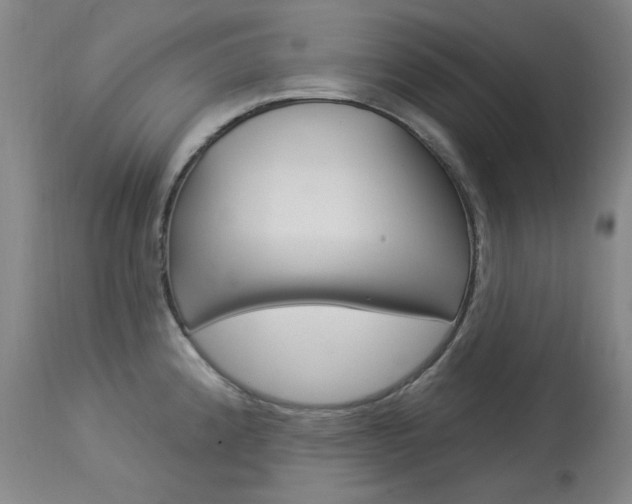 X0000114131192200910080955
