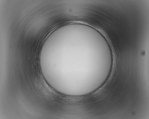 X0000114131193200910080955