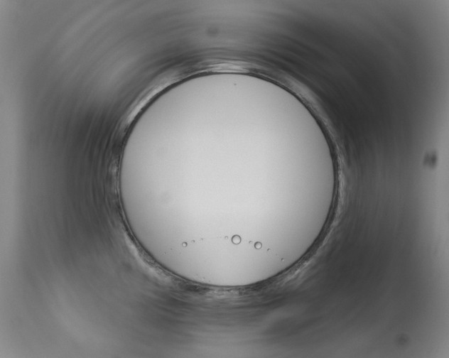 X0000114131194200910080955